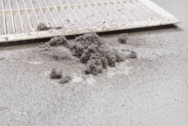 Best Affordable HVAC Duct Cleaning  in Dundalk, MD