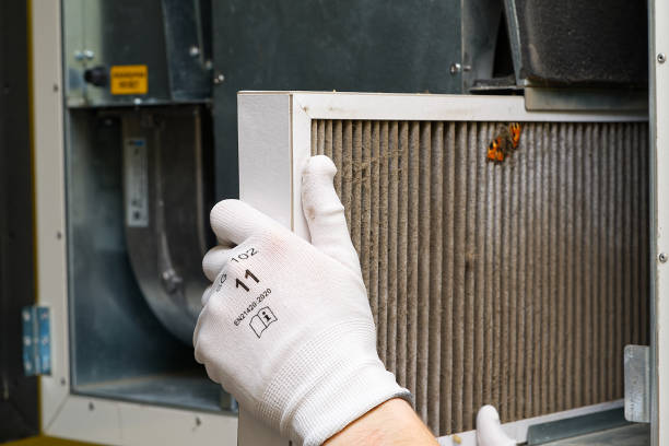Best Affordable Air Duct Cleaning  in Dundalk, MD